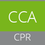 CSB224-CCA/1 - Afbeelding 6