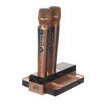 E5 Dual Karaokesysteem - Afbeelding 2
